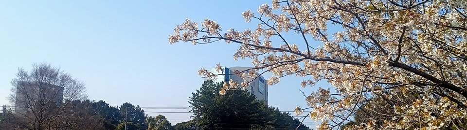 学会＠千葉工大